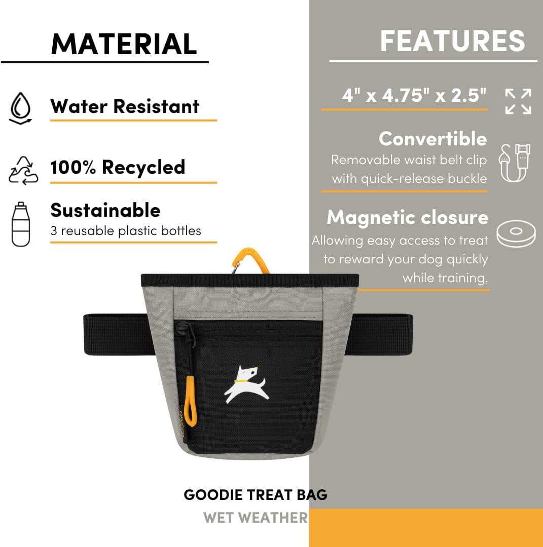 OllyDog Goodie Treat Bag, Dog Treat Pouch, Waist Belt Clip for Hands-Free Training, Magnetic Closure, Dog Training and Behavior Aids, Three Ways to Wear (Raven S'25)