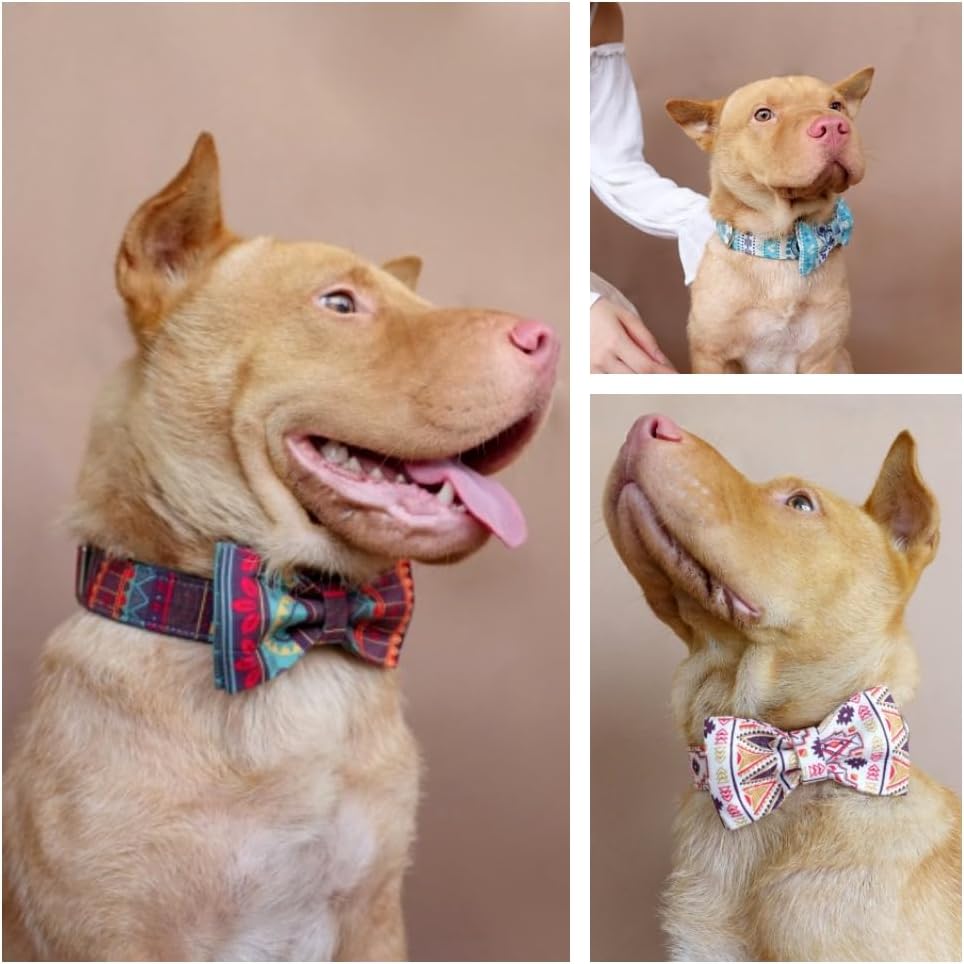 Custom Engraved Dog Collar with Name and Phone Number, Personalized for Small, Medium, and Large Dogs (Plaid)
