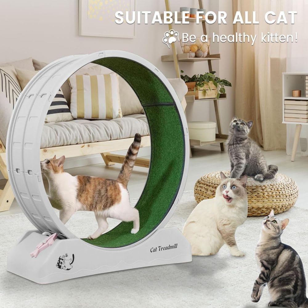 axGear Cat Treadmill Runner Training Wheel Pet Exercise Toy Indoor Teaser