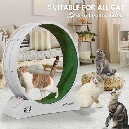 axGear Cat Treadmill Runner Training Wheel Pet Exercise Toy Indoor Teaser