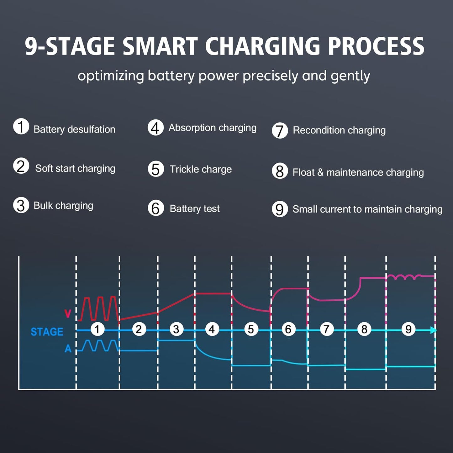 Lithium Lifepo4 Battery Charger,12V 24V Fully Automatic Car Battery Charger, 12 Volt-20A, 24 Volt-10A Trickle Charger maintainer, AGM Deep Cycle Battery Charger