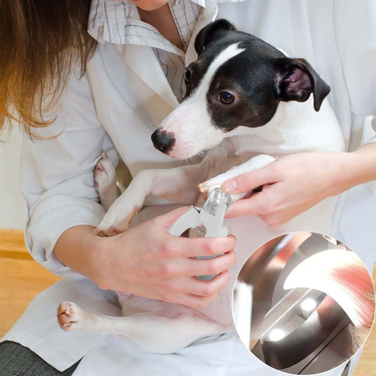Pet Nail Clipper with LED Light for Dogs & Cats, Rechargeable Nails & Claws Trimmer Grooming, Safe Professional Trimming Tool with Nail Trapper & Free Nail File, Quick-Sensor Razor Sharp Blades