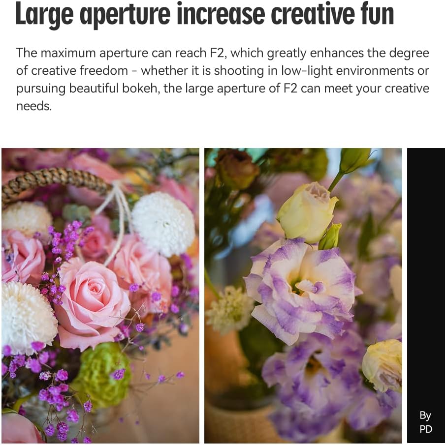 TTARTISAN 25mm F2 Wide-Angle APS-C Camera Lens Large Aperture Manual Fixed Compatible with Fuji X-Mount Cameras X-A2 X-A3 X-A5 X-A7 X-H1 XT1 X-T2 X-T3 X-T20 X-T30 X-T100 X-T200 X-PRO1