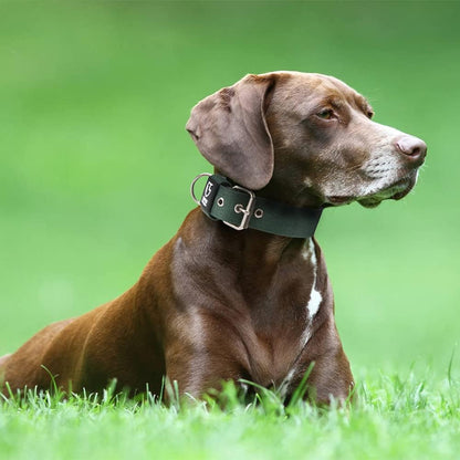 TSPRO Tactical Dog Collar 1.5 inch Wide Dog Collar Military Grade Strong Dog Collar Thick Dog Collar Heavy Duty Metal Buckle Dog Collar(Green-L)