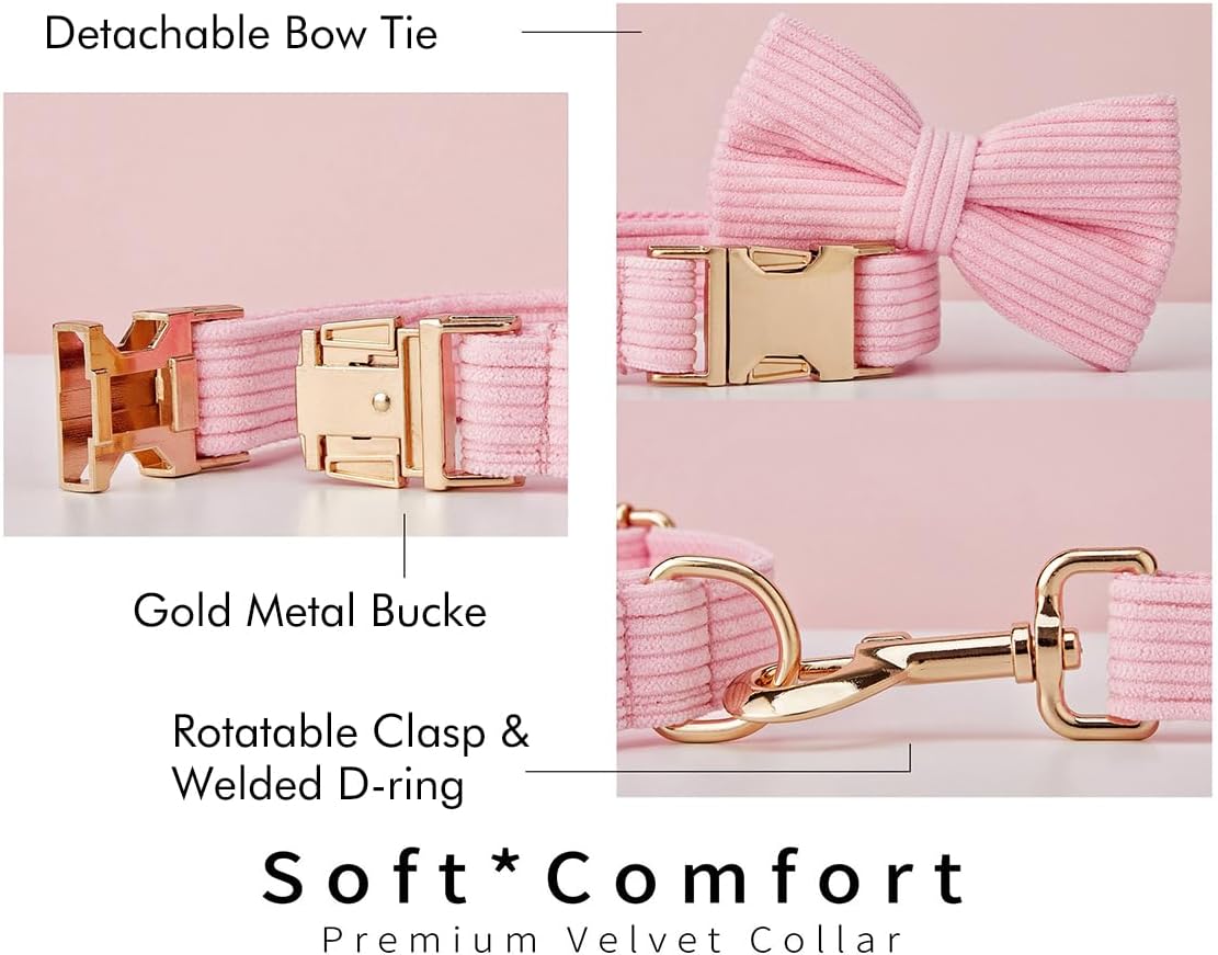 Custom Dog Collar with Metal Buckle - Pet Collars Personalized with Name and Phone Number (Plaid)