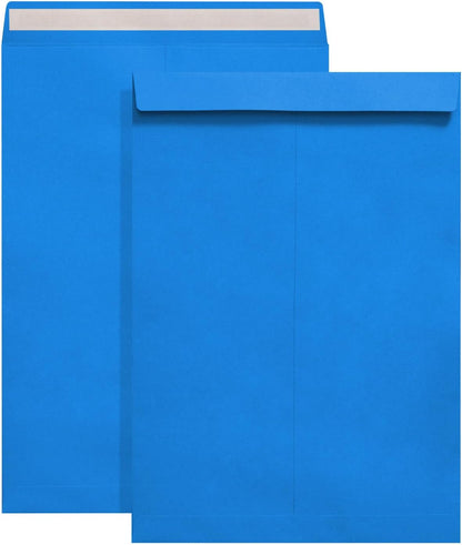 Tanshuqin 9" x 12.75" Self-Seal Catalog Envelopes 32lb Kraft Envelopes for Invitation Cards, Organizing and Storage, Pictures, Photos, Documents (100 PCS)