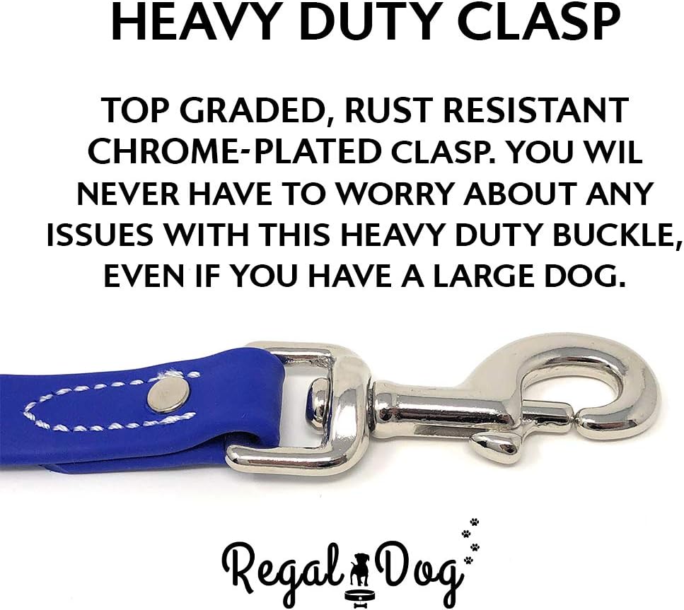 Regal Dog Products Small Orange Waterproof Dog Collar and Leash Set - Vinyl Coated, Biothane Puppy Pet Training Collar with Heavy Duty Center Ring & 5'ft Leash - Other Sizes for Medium & Large Dogs