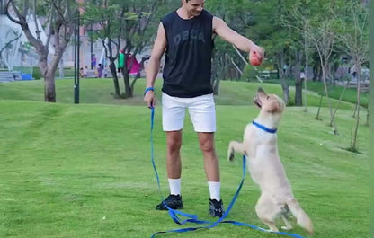 AMAGOOD Dog/Puppy Obedience Recall Training Agility Lead-15 ft 20 ft 30 ft 50 ft Long Leash-for Dog Training,Tie Out,Play,Safety,Camping (15 feet, Black)