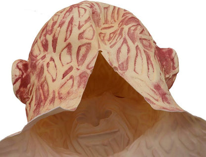 Frightening Freddy Mask for Adult, Texture, Halloween Party Costume, Safe and Environmentally Friendly (As Shown)