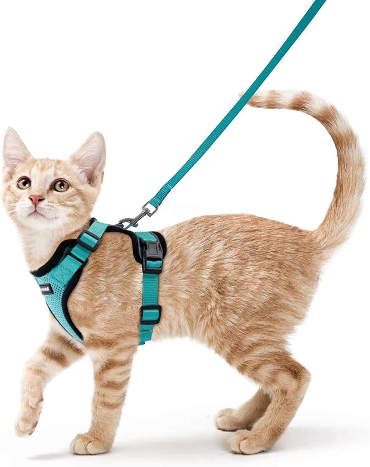 rabbitgoo Cat Harness and Leash for Walking, Escape Proof Soft Adjustable Vest Harnesses for Small Medium Cats, Easy Control Breathable Reflective Strips Jacket, XS, Black