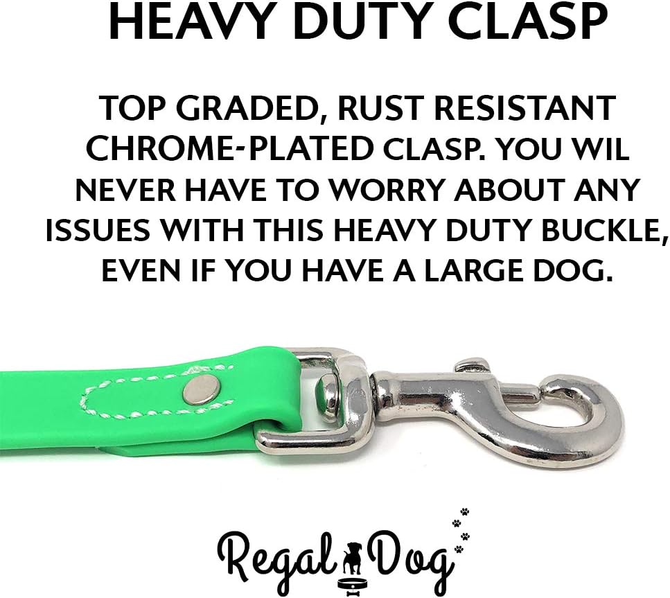 Regal Dog Products Small Orange Waterproof Dog Collar and Leash Set - Vinyl Coated, Biothane Puppy Pet Training Collar with Heavy Duty Center Ring & 5'ft Leash - Other Sizes for Medium & Large Dogs