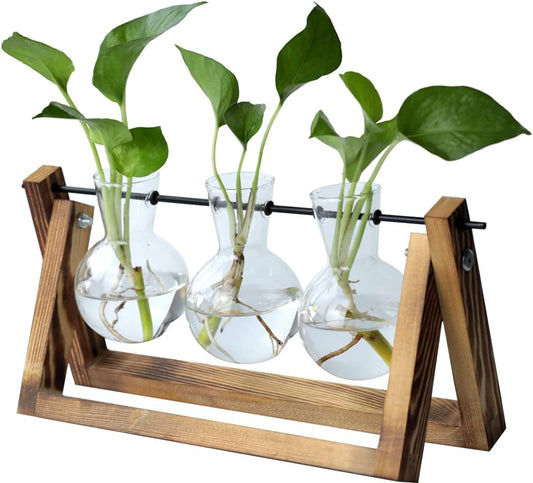 Plant Stand Indoor Gifts for Women Birthday Gifts for Women Her from Daughter Mom Sister Best Friend Wife Anniversary Teacher Auntie Female Presents Gift Flower Vases for Decor