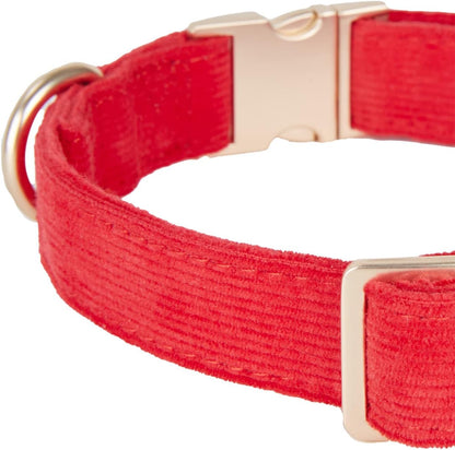YUDOTE Soft Cotton Dog Collar with Metal Buckle Adjustable Heavy Duty Comfy Corduroy Collars for Small Medium Large Dogs,Black,Small