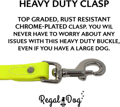 Regal Dog Products Small Orange Waterproof Dog Collar and Leash Set - Vinyl Coated, Biothane Puppy Pet Training Collar with Heavy Duty Center Ring & 5'ft Leash - Other Sizes for Medium & Large Dogs