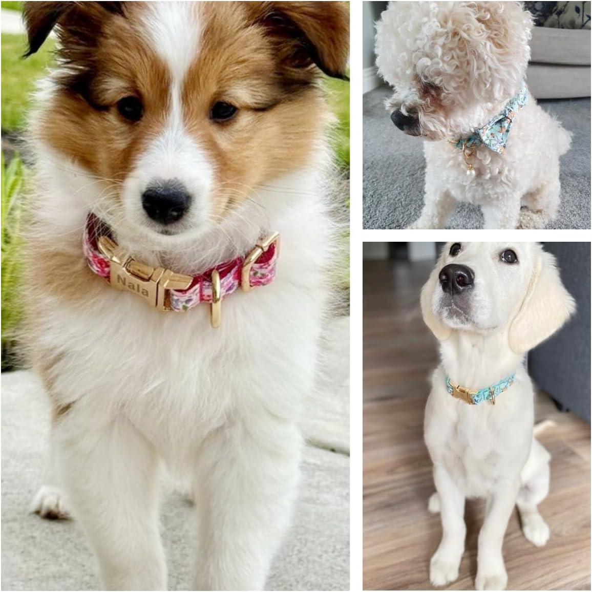 Custom Engraved Dog Collar with Name and Phone Number, Personalized for Small, Medium, and Large Dogs (Plaid)