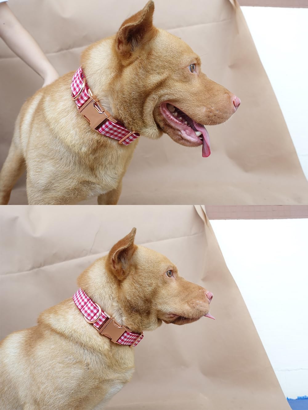PETDURO Personalized Buffalo Plaid Dog Collar Red Black - Engraved Name and Phone Number on Black Metal Buckle - Custom for Small Medium Large Boy Girl Dogs - Add Leash Bow Tie via Customize Now