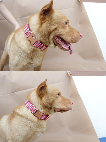 PETDURO Personalized Buffalo Plaid Dog Collar Red Black - Engraved Name and Phone Number on Black Metal Buckle - Custom for Small Medium Large Boy Girl Dogs - Add Leash Bow Tie via Customize Now
