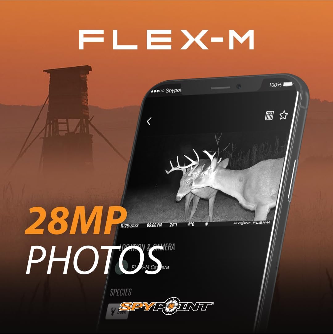 SPYPOINT Flex-M Cellular Trail Camera - Best Value in Hunting Accessories, No WiFi Needed & GPS-Enabled, Hunting Night Vision, IP65 Water-Resistant, 28MP Photos, 720p Videos + Sound (Pack of 1)