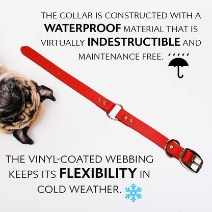 Regal Dog Products Small Orange Waterproof Dog Collar and Leash Set - Vinyl Coated, Biothane Puppy Pet Training Collar with Heavy Duty Center Ring & 5'ft Leash - Other Sizes for Medium & Large Dogs