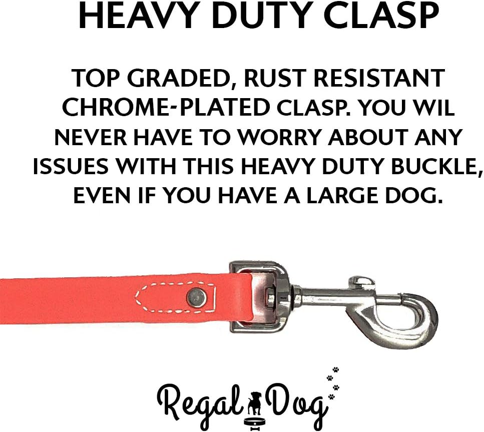 Regal Dog Products Small Orange Waterproof Dog Collar and Leash Set - Vinyl Coated, Biothane Puppy Pet Training Collar with Heavy Duty Center Ring & 5'ft Leash - Other Sizes for Medium & Large Dogs