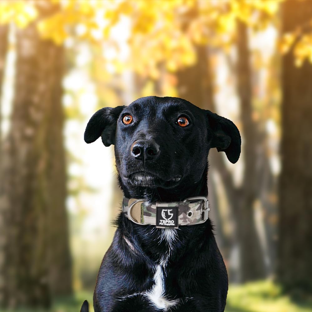 TSPRO Tactical Dog Collar 1.5 inch Wide Dog Collar Military Grade Strong Dog Collar Thick Dog Collar Heavy Duty Metal Buckle Dog Collar(Green-L)