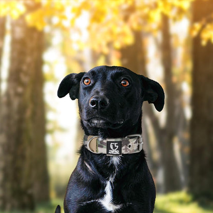 TSPRO Tactical Dog Collar 1.5 inch Wide Dog Collar Military Grade Strong Dog Collar Thick Dog Collar Heavy Duty Metal Buckle Dog Collar(Green-L)