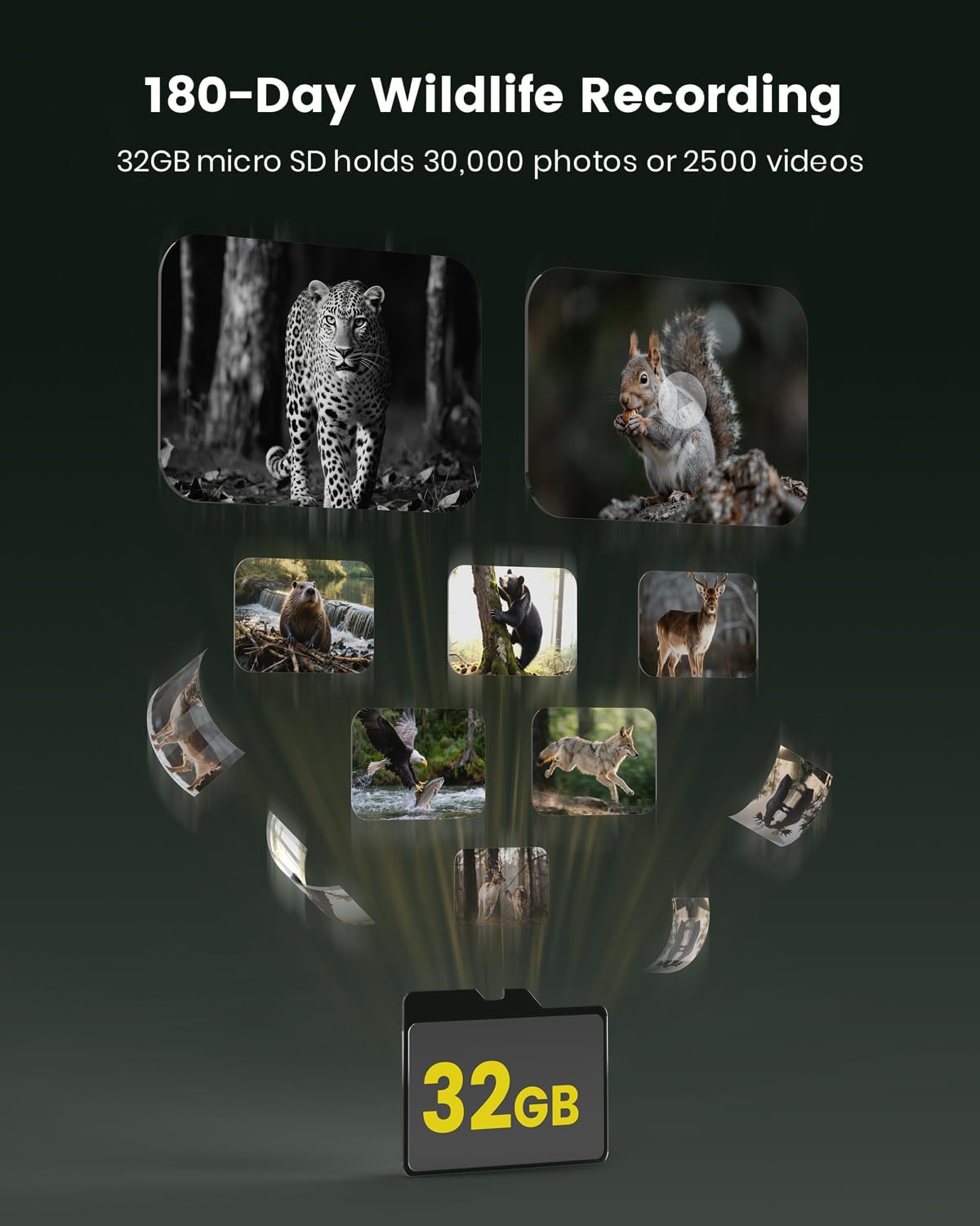 Misstech 4K UHD Solar Trail Camera for Game & Wildlife Monitoring - 0.1s Motion Trigger to Capture Fast Animals, 64MP/4K Clear Night Vision, Map Pin, App Control, IP66 Waterproof, 32GB SD Card