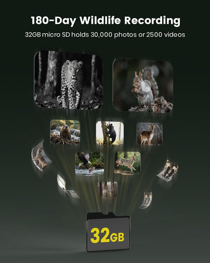 Misstech 4K UHD Solar Trail Camera for Game & Wildlife Monitoring - 0.1s Motion Trigger to Capture Fast Animals, 64MP/4K Clear Night Vision, Map Pin, App Control, IP66 Waterproof, 32GB SD Card
