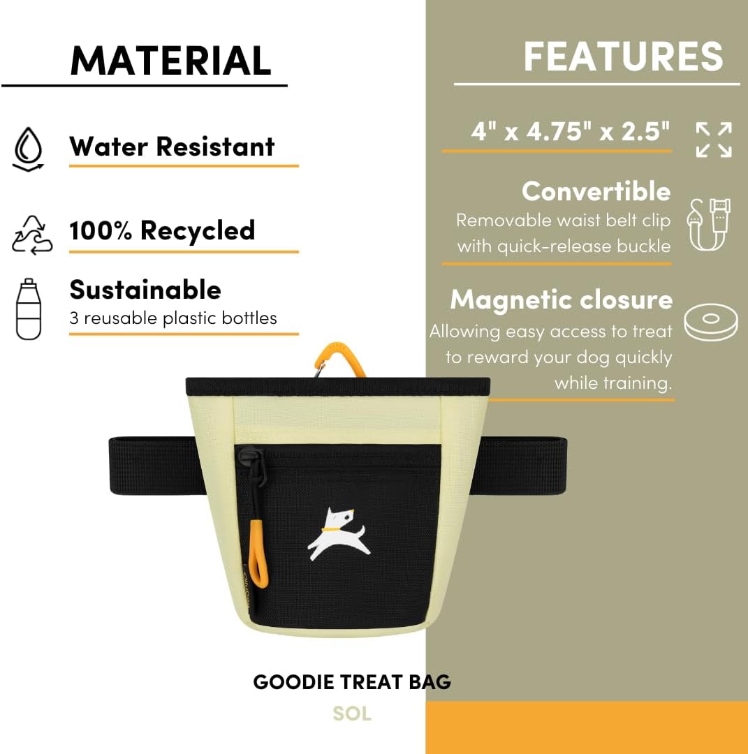 OllyDog Goodie Treat Bag, Dog Treat Pouch, Waist Belt Clip for Hands-Free Training, Magnetic Closure, Dog Training and Behavior Aids, Three Ways to Wear (Raven S'25)