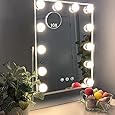 FENCHILIN Lighted Makeup Mirror Hollywood Mirror Vanity Makeup Mirror with Light Smart Touch Control 3Colors Dimmable Light Detachable 10X Magnification 360°Rotation(White)