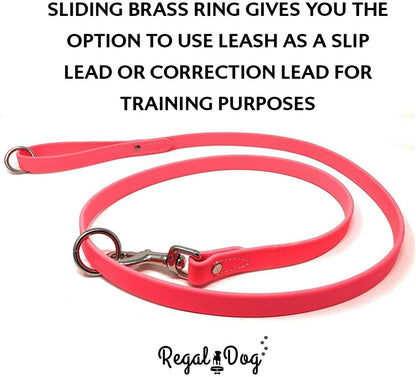 Regal Dog Products Small Orange Waterproof Dog Collar and Leash Set - Vinyl Coated, Biothane Puppy Pet Training Collar with Heavy Duty Center Ring & 5'ft Leash - Other Sizes for Medium & Large Dogs
