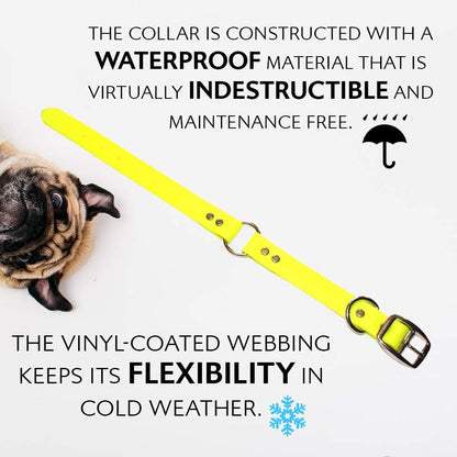 Regal Dog Products Small Orange Waterproof Dog Collar and Leash Set - Vinyl Coated, Biothane Puppy Pet Training Collar with Heavy Duty Center Ring & 5'ft Leash - Other Sizes for Medium & Large Dogs