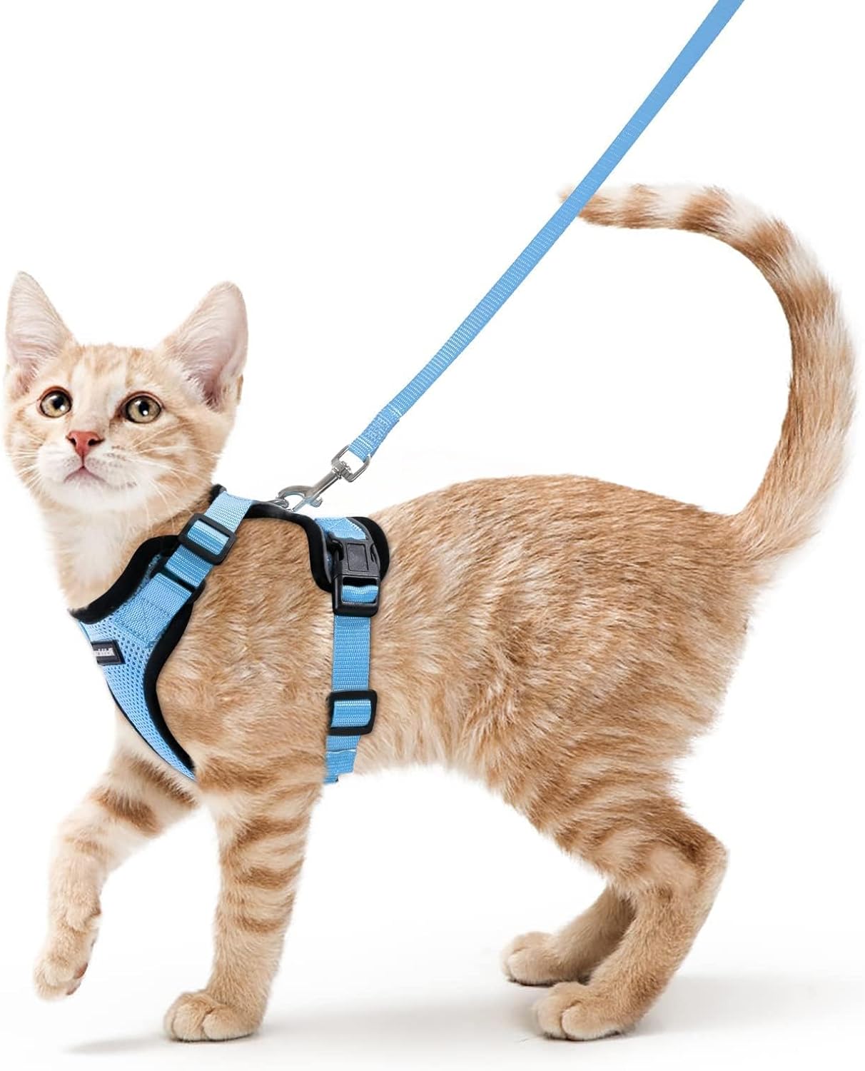 rabbitgoo Cat Harness and Leash for Walking, Escape Proof Soft Adjustable Vest Harnesses for Small Medium Cats, Easy Control Breathable Reflective Strips Jacket, XS, Black