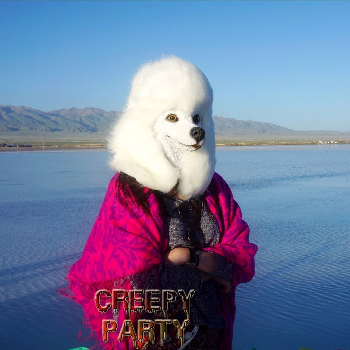 Dog Mask Poodle Head Face Costume Novelty Halloween Party Dressing Up Masks For Adults And Kids (White poodle)