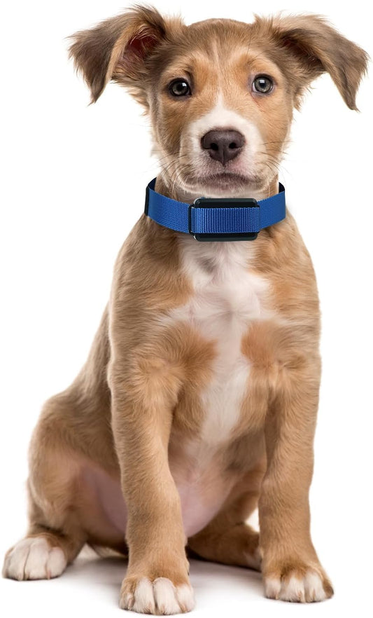 Replacement Strap for Dogtra Collars - 3/4" Wide Ultra-Durable Dog E-Collar Replacement for Training, Bark, Shock, Electric, and GPS Collars - 28" Adjustable Length Solid Black - PuriLite