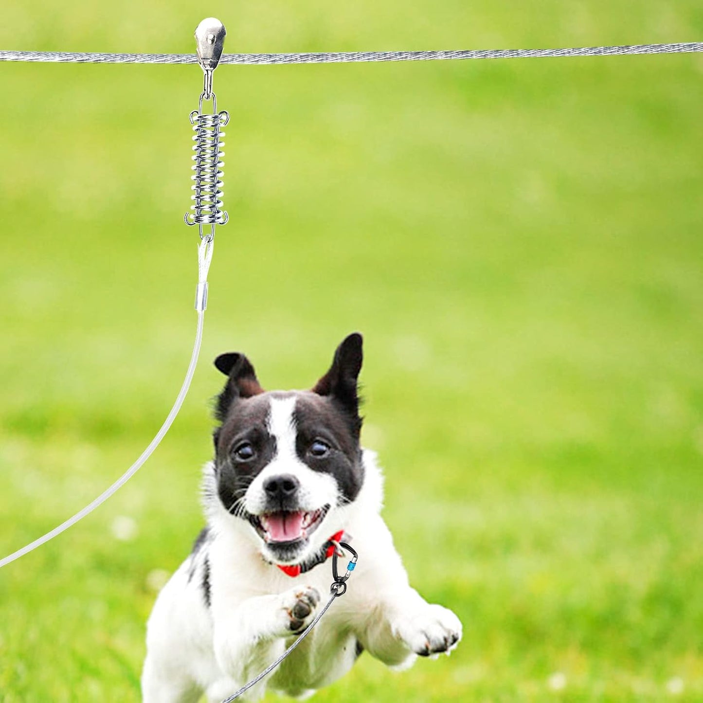 Snagle Paw Dog Tie Out Runner for Yard,Trolley System for Large Dogs,Heavy Duty Dog Run Cable with 10ft Pulley Runner Line for Dogs Up to 125lbs,Yard or Camping,75ft