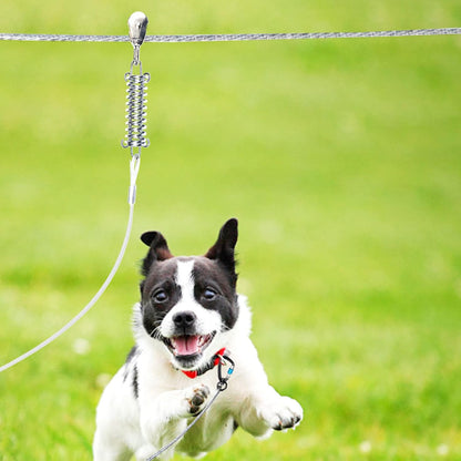 Snagle Paw Dog Tie Out Runner for Yard,Trolley System for Large Dogs,Heavy Duty Dog Run Cable with 10ft Pulley Runner Line for Dogs Up to 125lbs,Yard or Camping,75ft