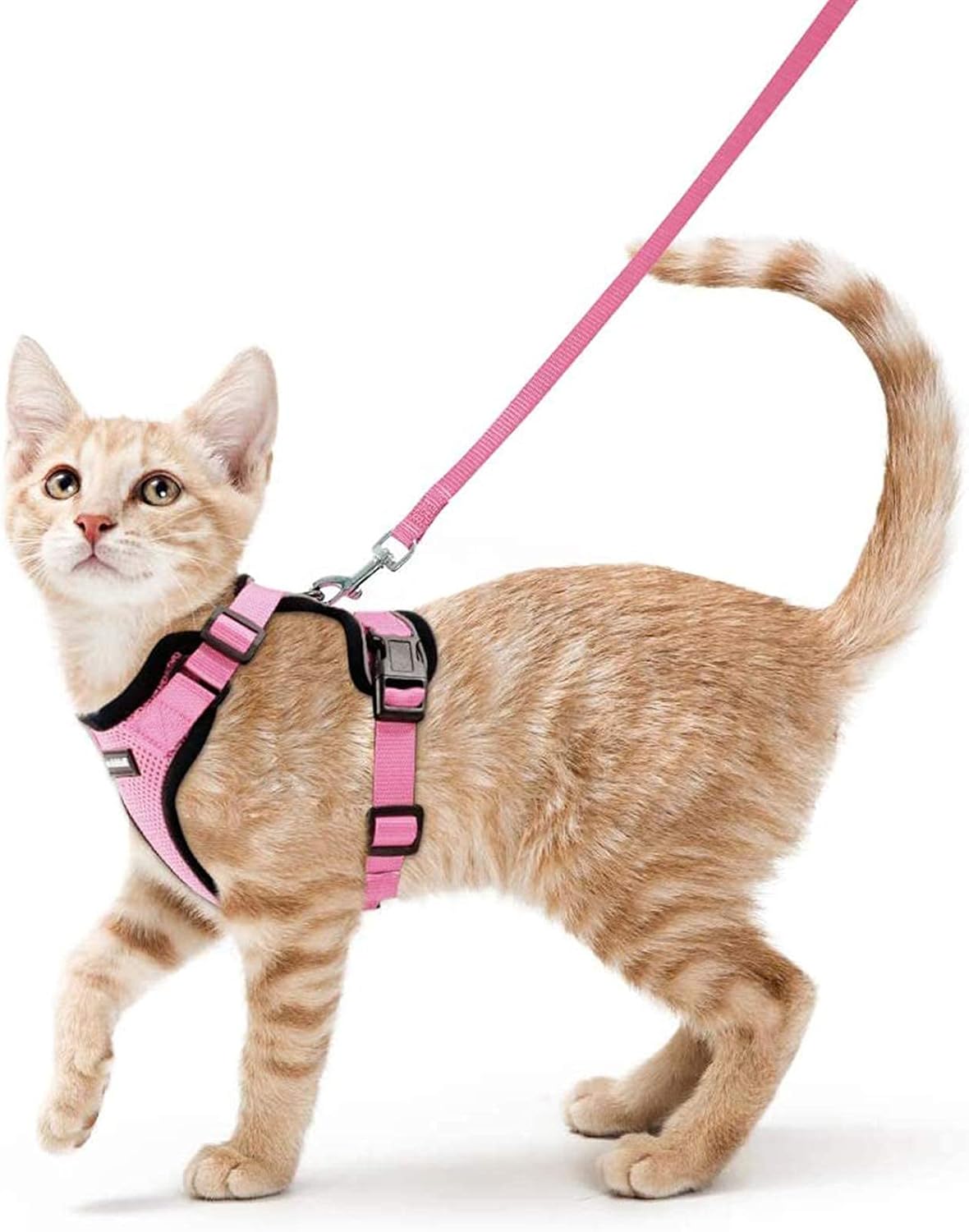 rabbitgoo Cat Harness and Leash for Walking, Escape Proof Soft Adjustable Vest Harnesses for Small Medium Cats, Easy Control Breathable Reflective Strips Jacket, XS, Black