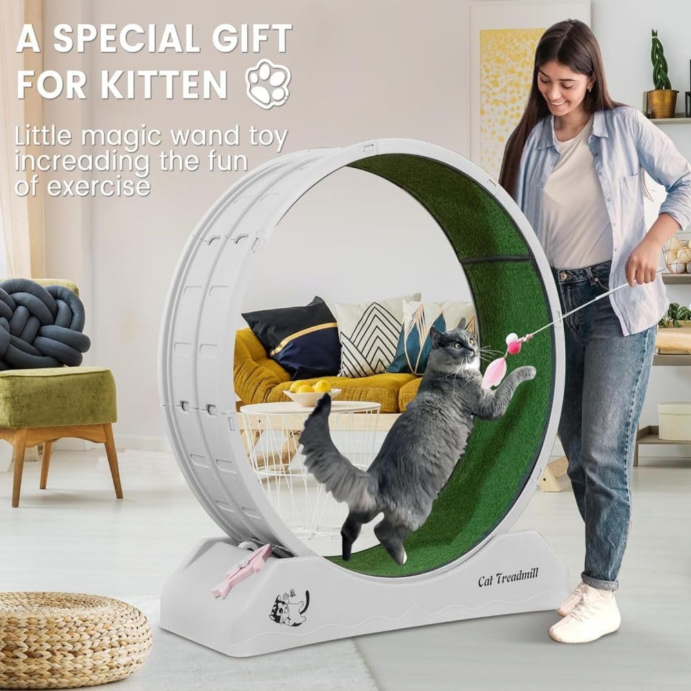 axGear Cat Treadmill Runner Training Wheel Pet Exercise Toy Indoor Teaser