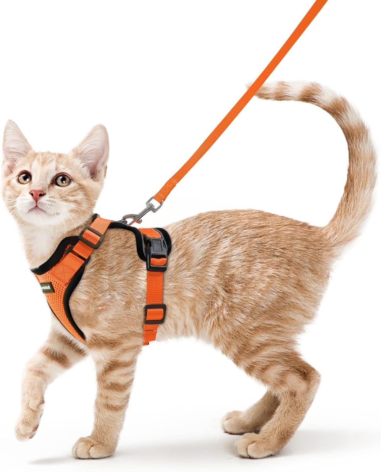 rabbitgoo Cat Harness and Leash for Walking, Escape Proof Soft Adjustable Vest Harnesses for Small Medium Cats, Easy Control Breathable Reflective Strips Jacket, XS, Black