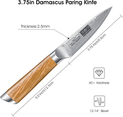HOSHANHO Damascus Fillet Knife 7 Inch, Professional VG-10 Super Steel Boning Knife, Ultra Sharp Fish Knife with Ergonomic Handle