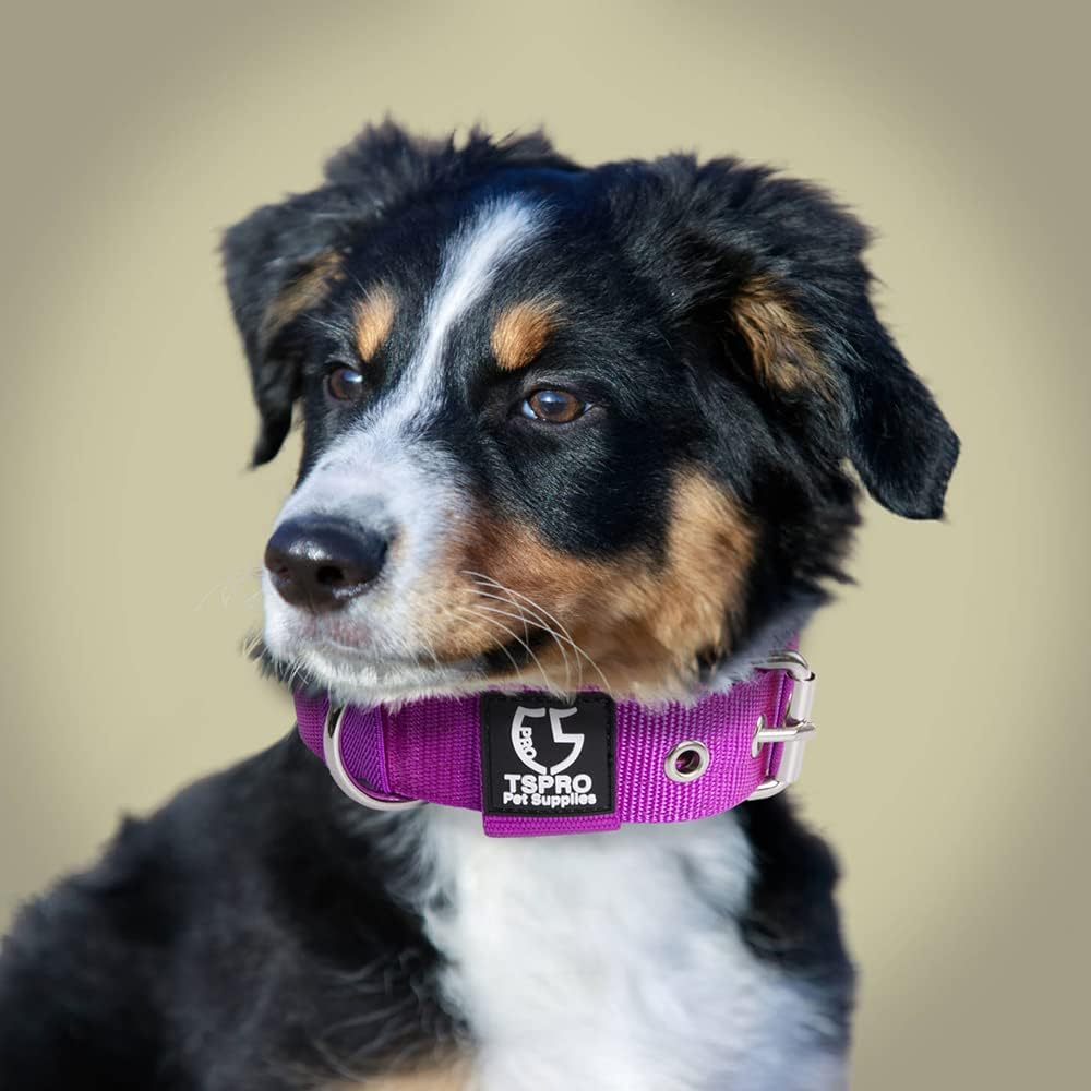 TSPRO Tactical Dog Collar 1.5 inch Wide Dog Collar Military Grade Strong Dog Collar Thick Dog Collar Heavy Duty Metal Buckle Dog Collar(Green-L)