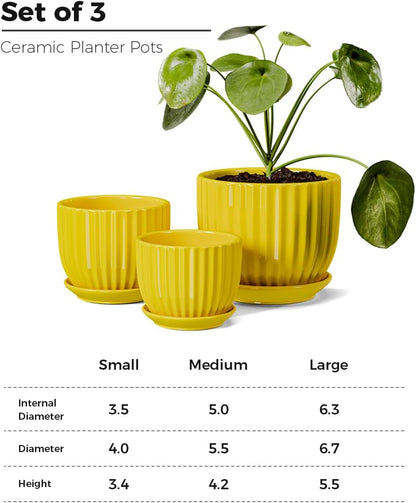 Purilite Select 3-Piece Ceramic Indoor Planter Set