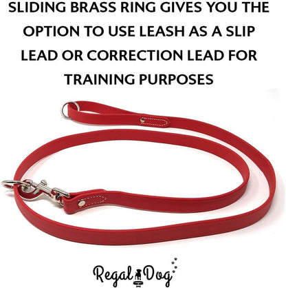 Regal Dog Products Medium Yellow Waterproof Dog Collar with Heavy Duty Double Buckle & D Ring | Vinyl Coated, Custom Fit, Adjustable Biothane Dog Collar | Chew Resistant Waterproof Collar for Dogs