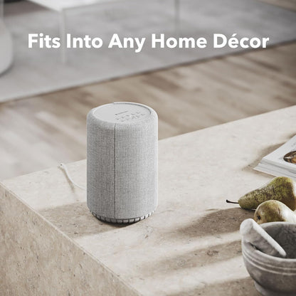 Audio Pro A10 MKII Wireless Multiroom Speaker, WiiM Edition | High Fidelity, Bluetooth, WiFi | Compatible with AirPlay 2, Google Cast, Siri, WiiM Home App, Stream Spotify, Tidal & More, Dark Gray