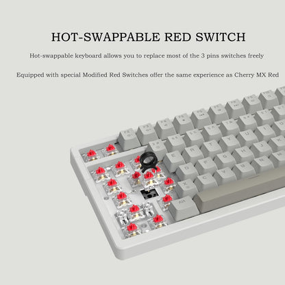 FIRSTBLOOD ONLY Game. AK992 Retro Wired Mechanical Keyboard, 98 Keys Full Layout, Hot-Swappable USB Gaming Keyboard with Red Switches, Multimedia Keys Knob, Blue Backlit, Anti-Ghosting, Grey