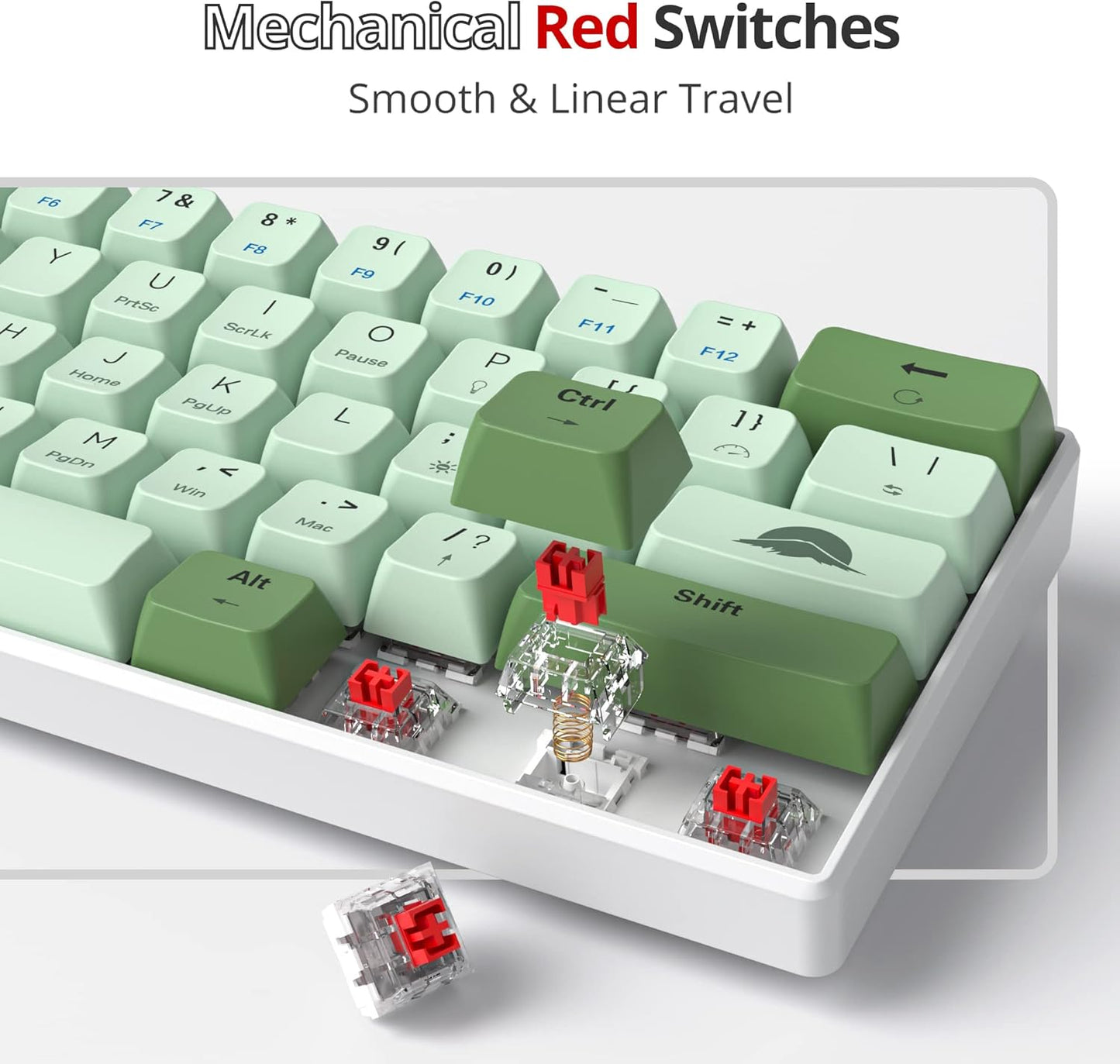 Fogruaden Full Size Mechanical Keyboard, Green Matcha Keyboard, Wired USB 104 Keys RGB Backlit Gaming Keyboard with Number Pad, Red Switches, NKRO Mechanical Keyboard for Windows Laptop PC Gamer
