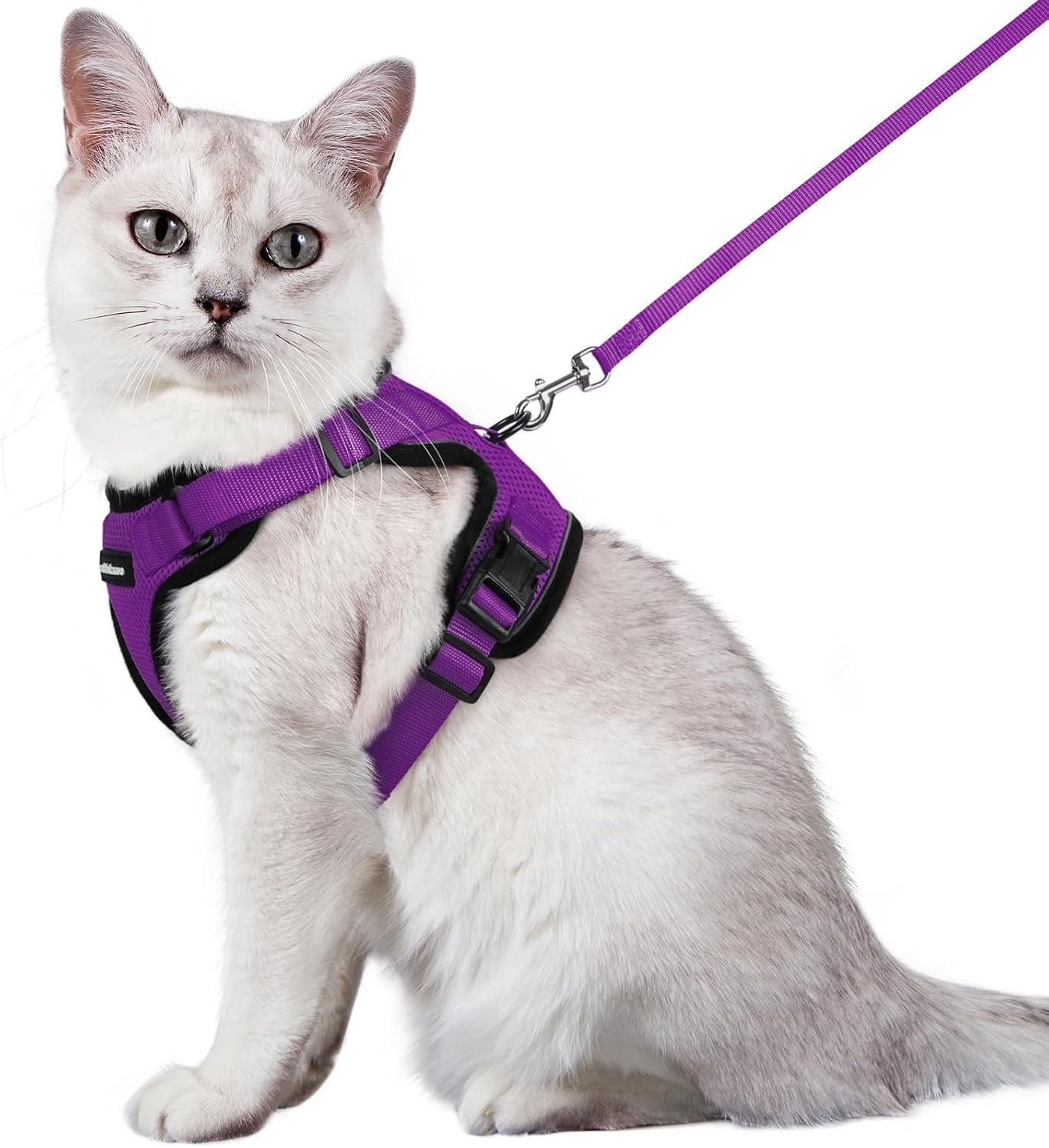 rabbitgoo Cat Harness and Leash for Walking, Escape Proof Soft Adjustable Vest Harnesses for Small Medium Cats, Easy Control Breathable Reflective Strips Jacket, XS, Black