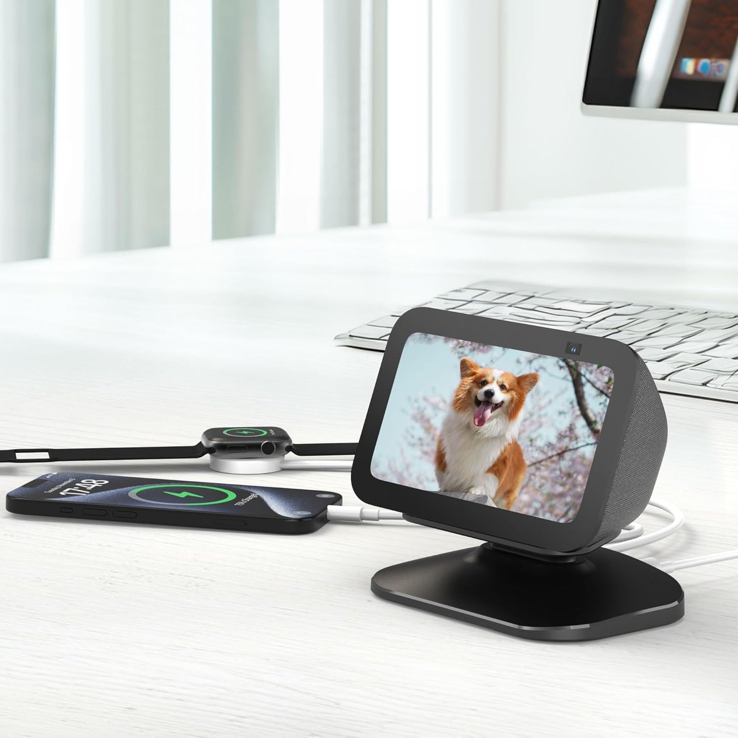 PlusAcc Stand for Show 5 3rd Gen - Adjustable Tilt Magnetic Stand Mount with USB-C and USB-A Charging Port | Compatible with Cellphones and Earbuds | Anti-Slip Base | Black