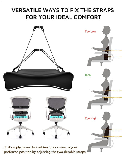 Purilite Select Ergonomic Lumbar Support Cushion